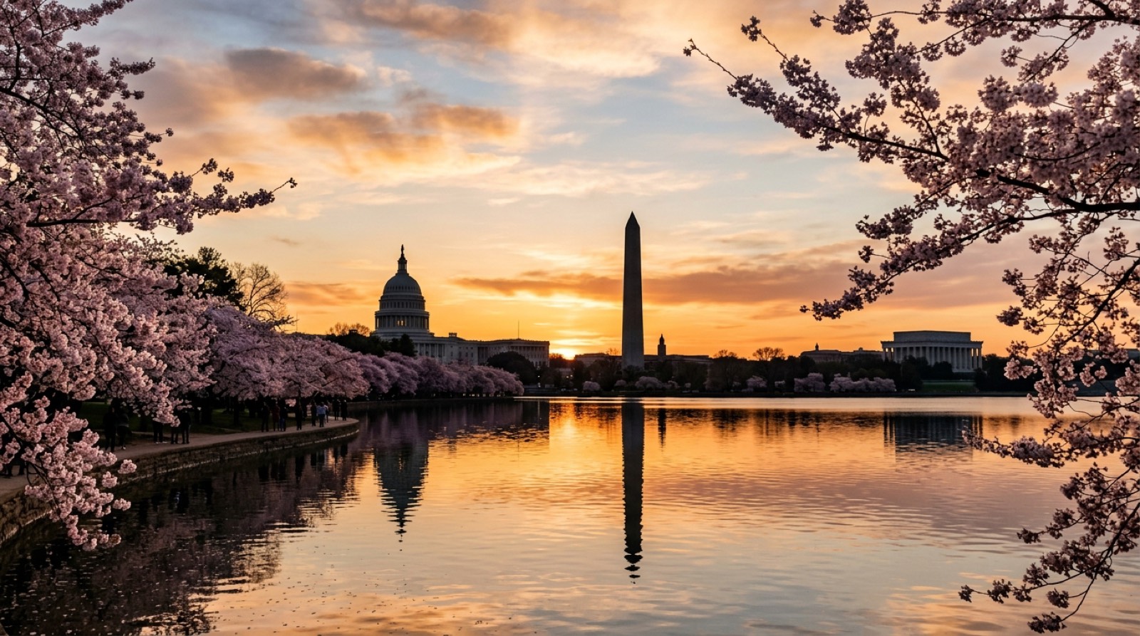 Vessel Advisors Fractional CFO Services in Washington, DC